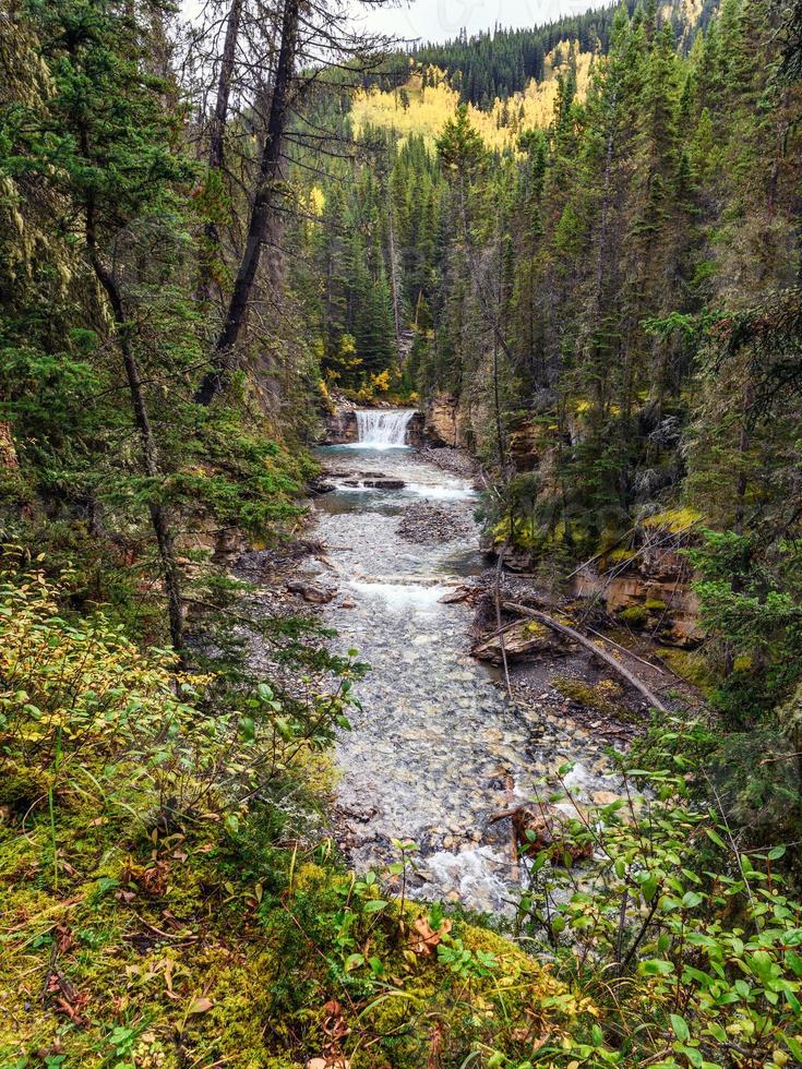 Arroyo que fluye en Bow Valley en el parque nacional en Johnston Canyon foto