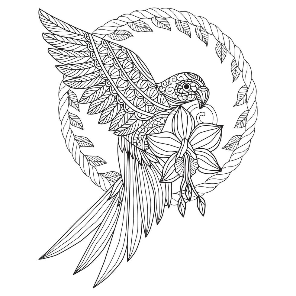 Parrot and orchid hand drawn for adult coloring book vector