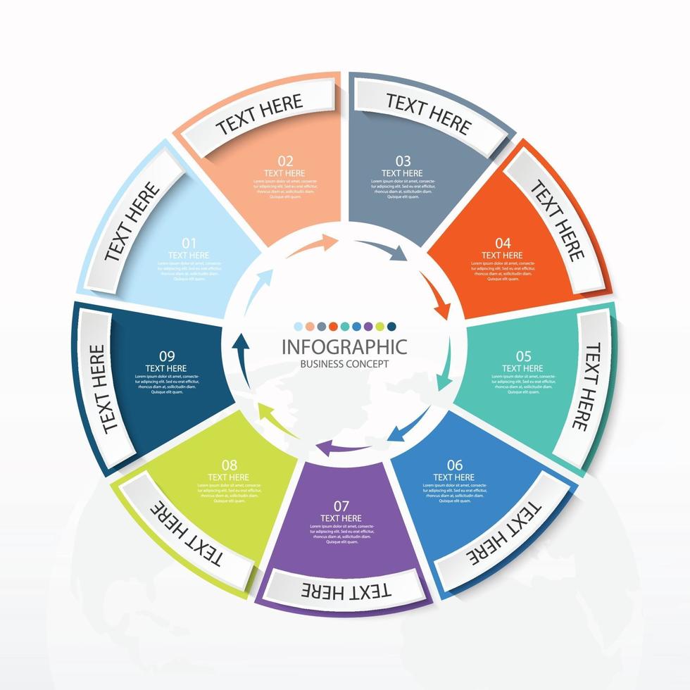 Basic circle infographic template with 9 steps. vector