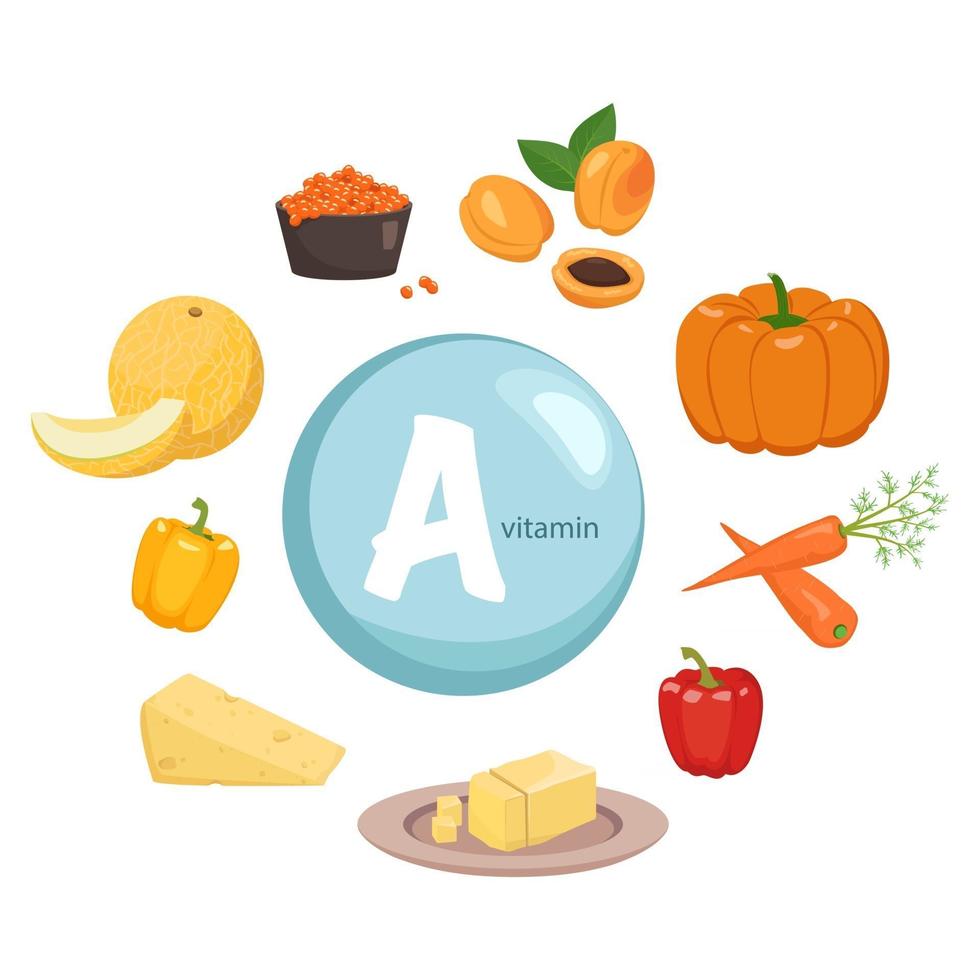 Source of vitamin A. Collection of vegetables, fruits and products. Diet food. Healthy lifestyle. The composition of the food vector