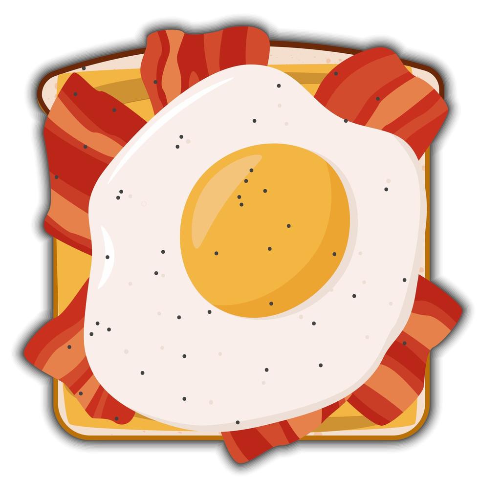 Egg and becon tasty sandwich with shadow vector