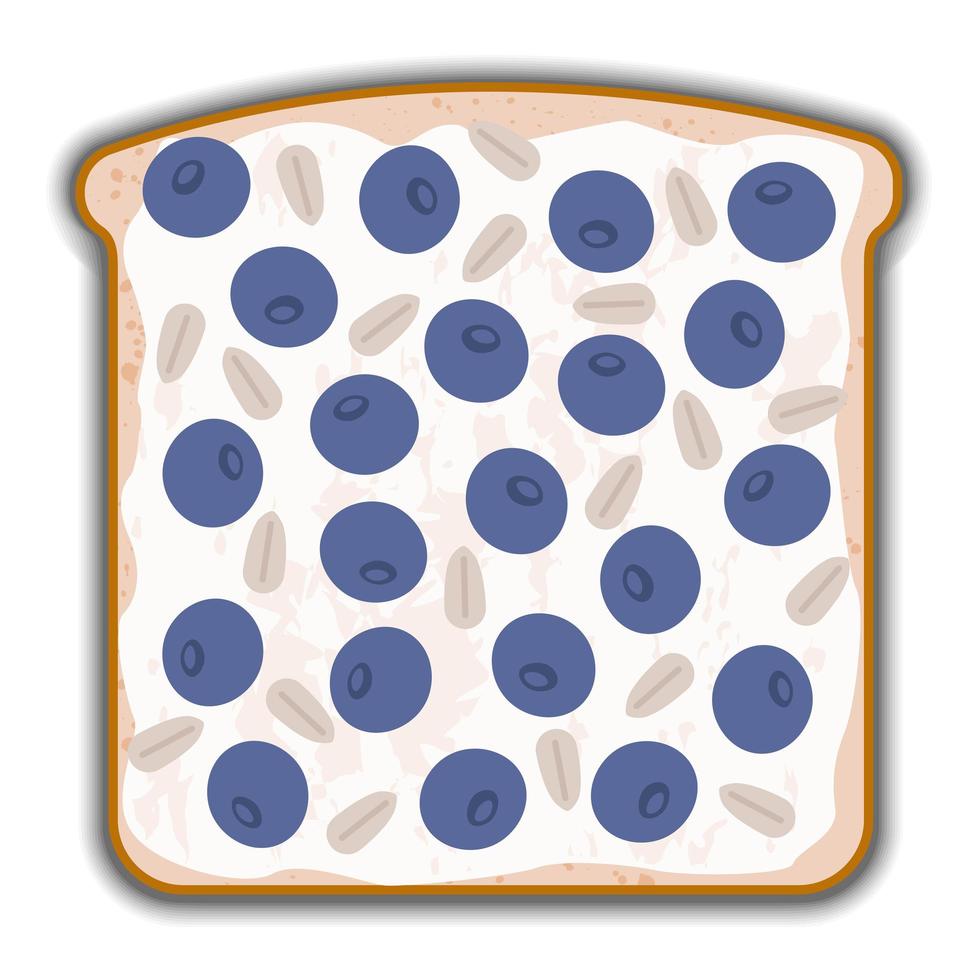 blueberry and cottage cheese sandwich with shadow vector