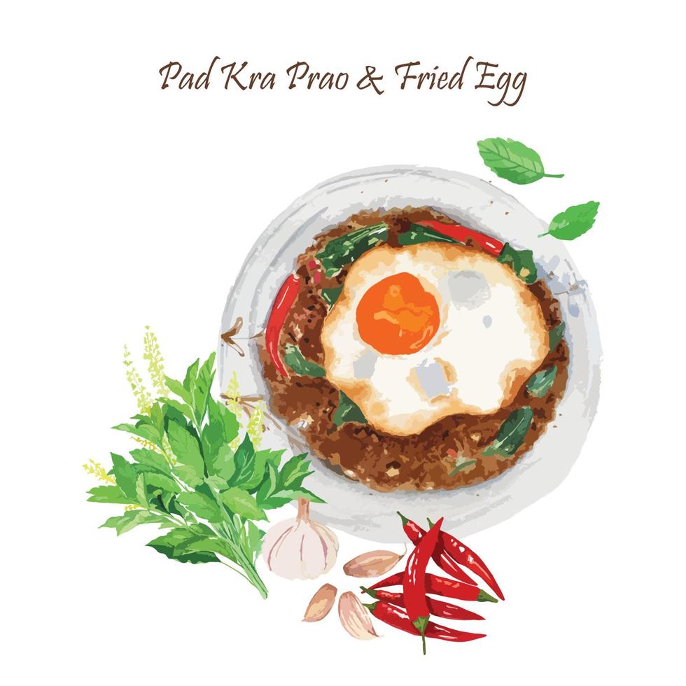 Thai Stir-Fried Minced Beef with Holy basil and Crispy Fried egg vector