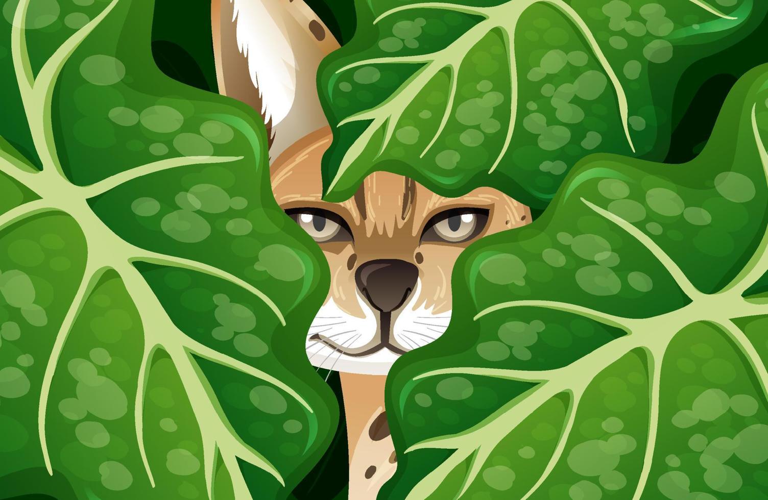 Caracal hidden in the jungle vector