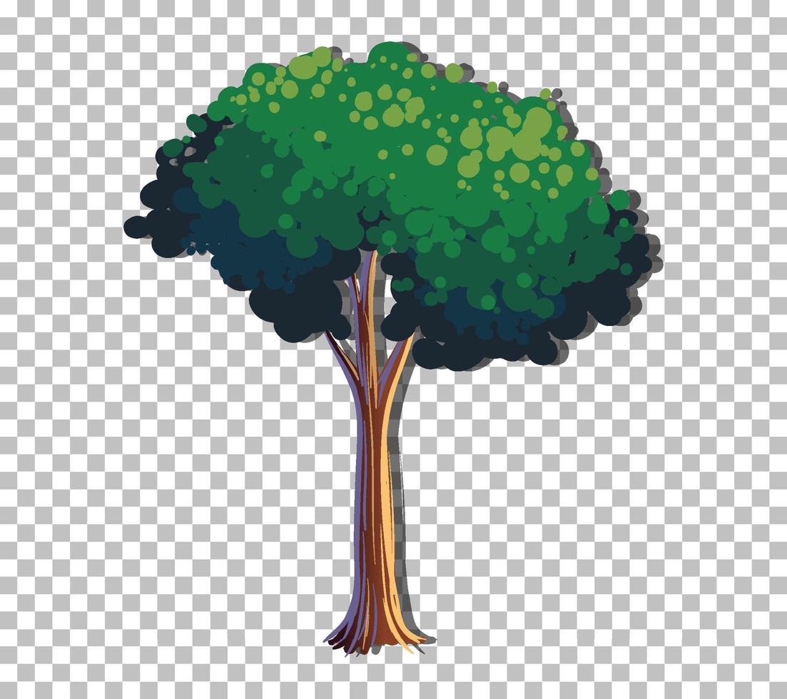 A tree with green leaves vector
