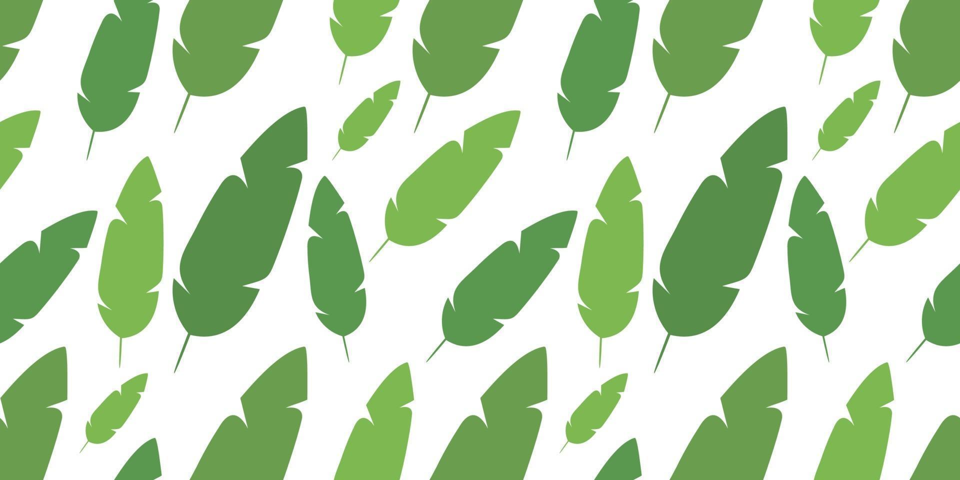 Seamless pattern of Tropical banana leaf on a white background. vector