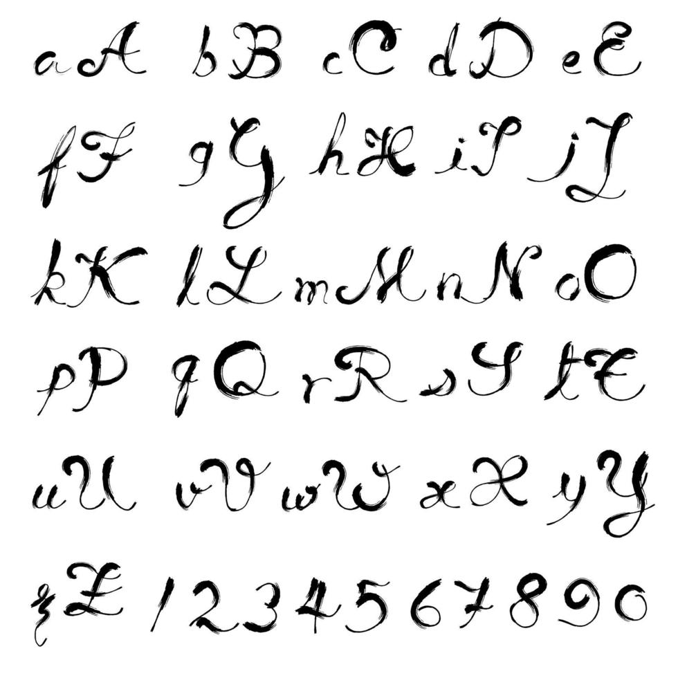 Hand drawn font use Brush stroke english alphabet vector