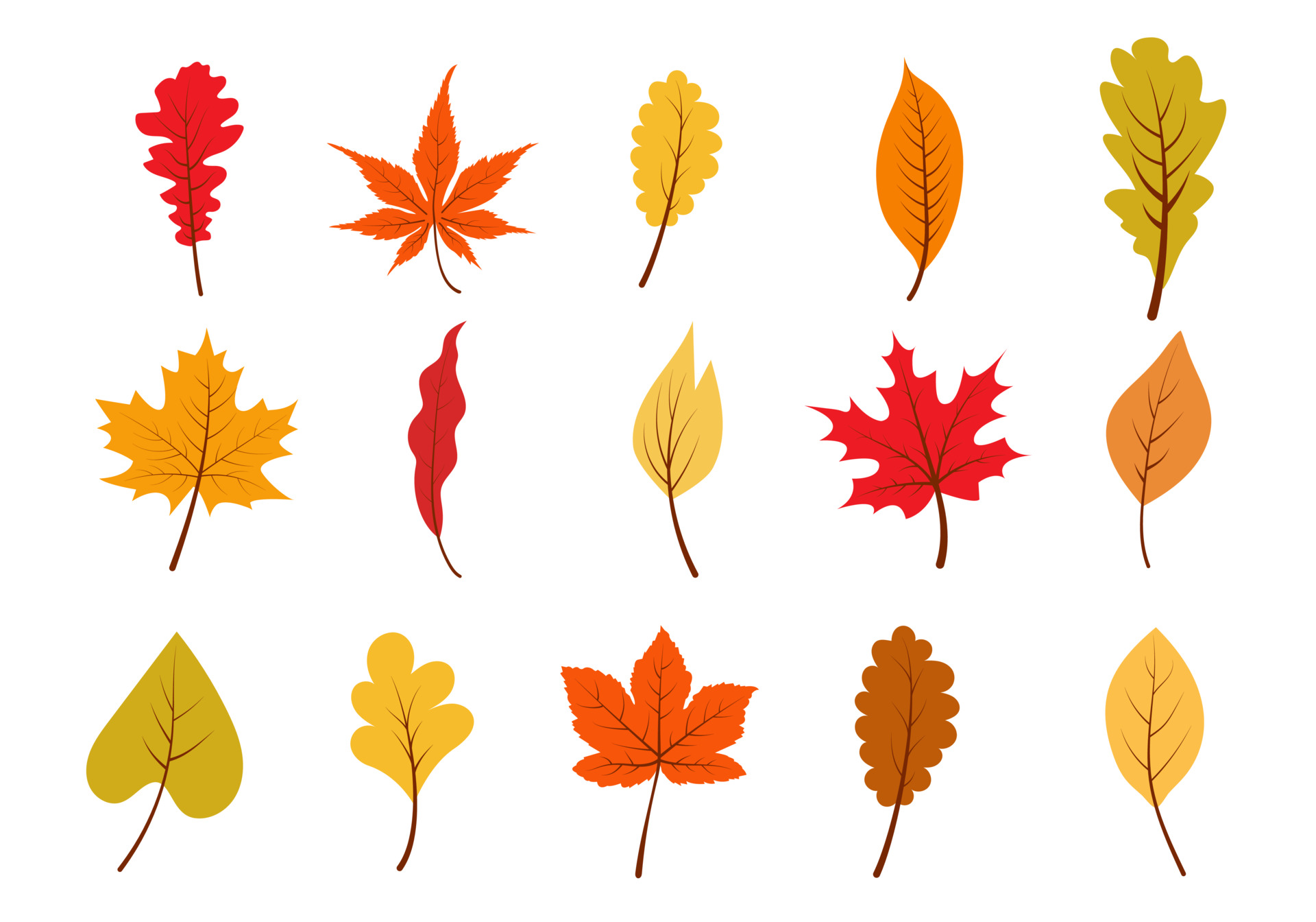 Autumn colorful leaves set 3480886 Vector Art at Vecteezy