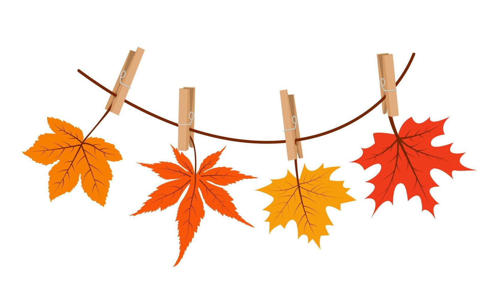 Maple leaves hanging on the rope attached with clothespin. vector