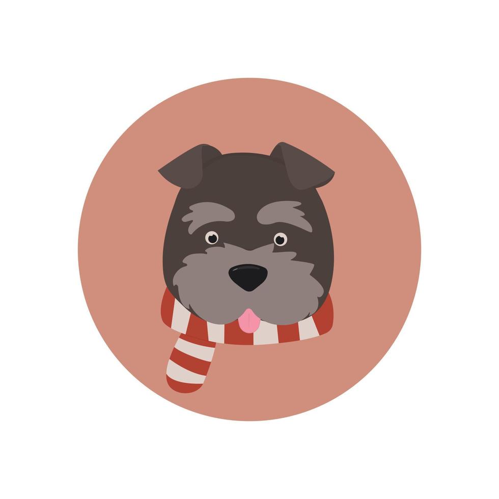 Icono de perro Schnauzer en bufanda sobre fondo melocotón vector