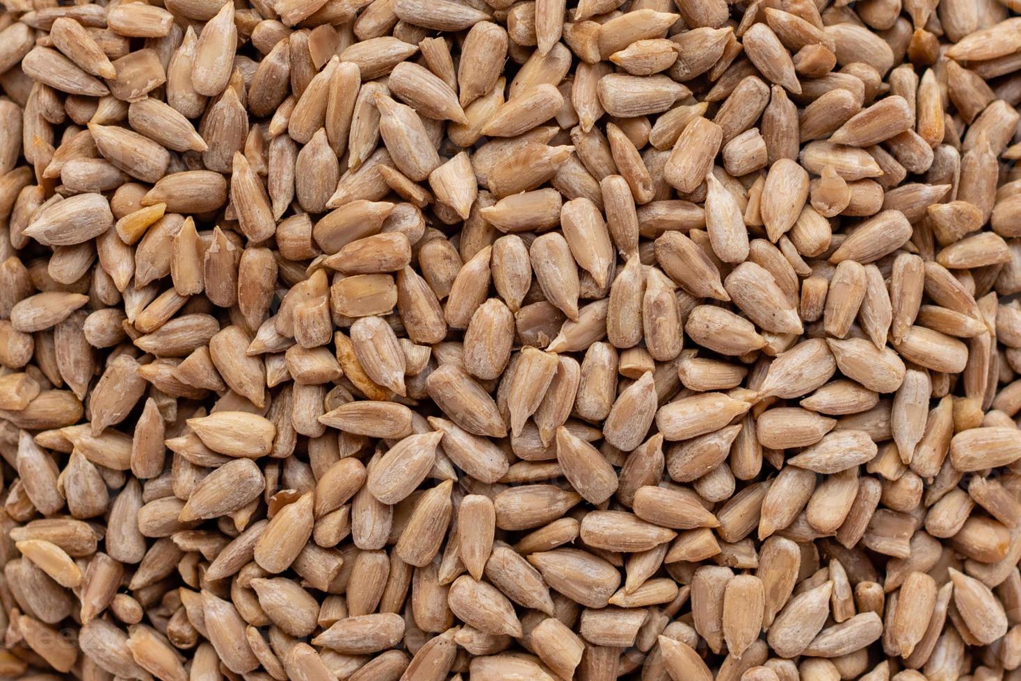 Sunflower seed close up. It can be used as a background photo