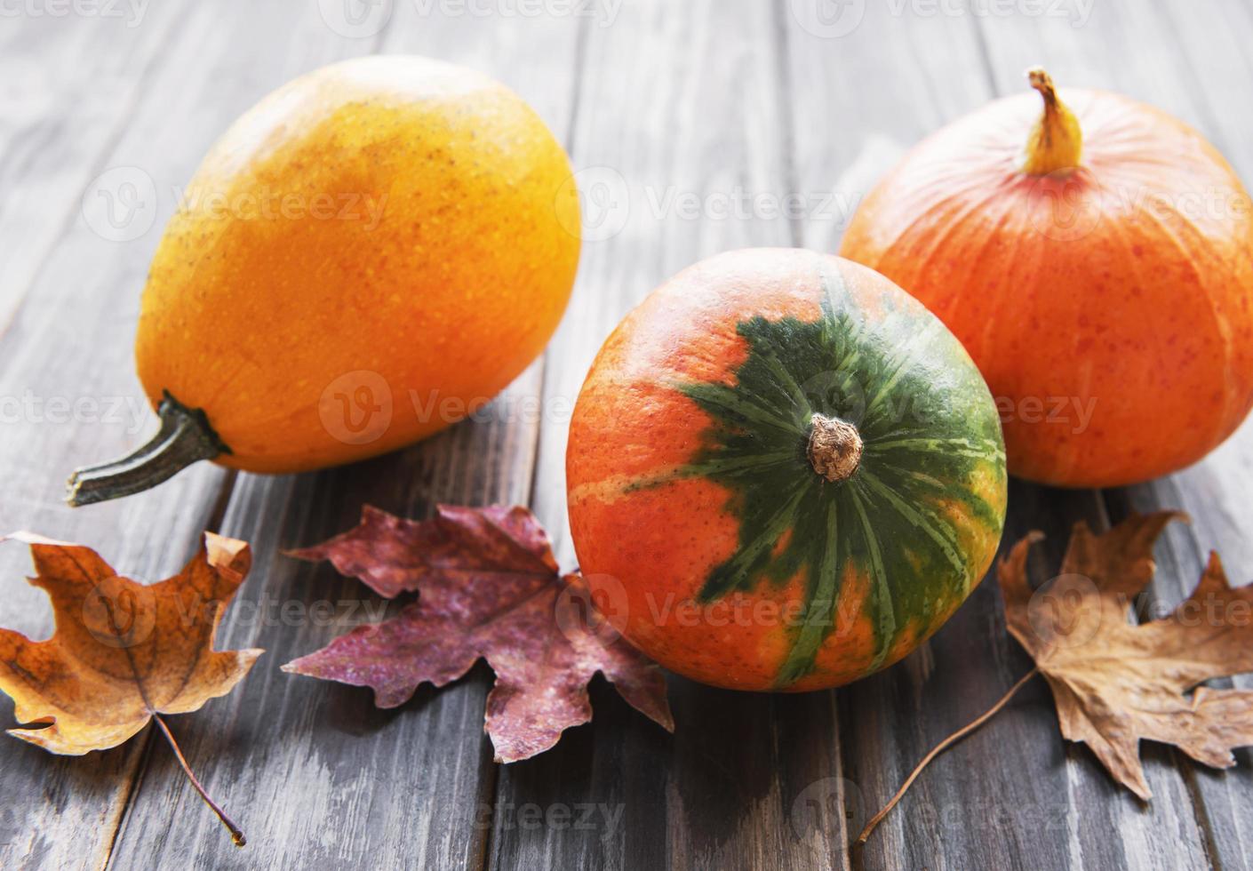 Autumn composition with assorted pumpkins photo