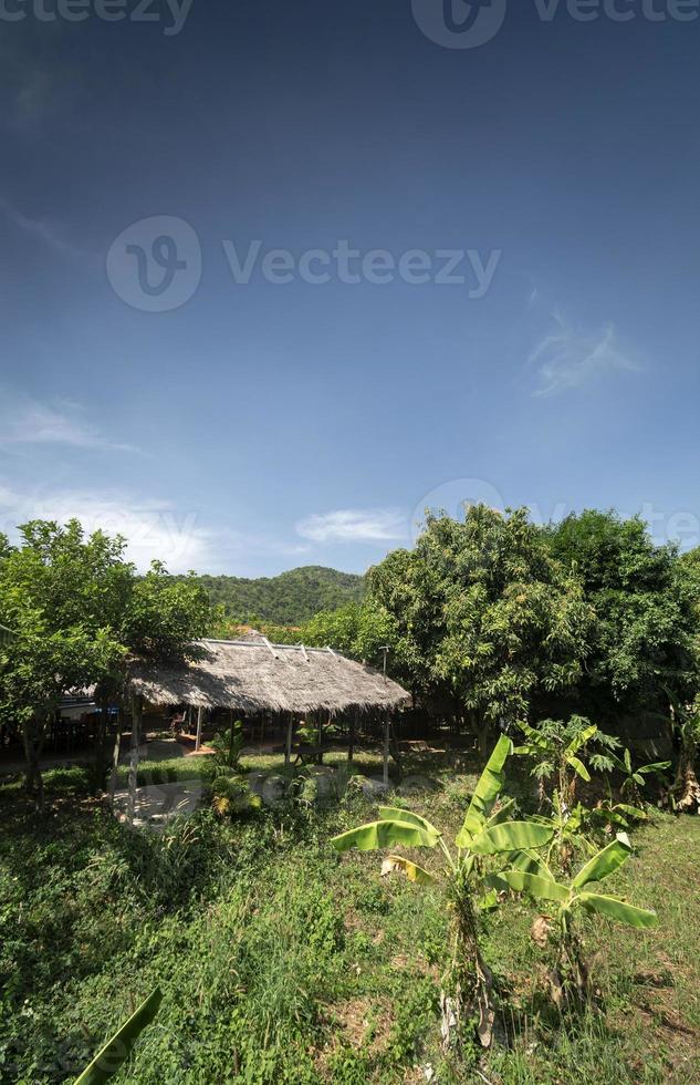 traditional bungalow in tropical fruit farm plantation near kampot cambodia photo