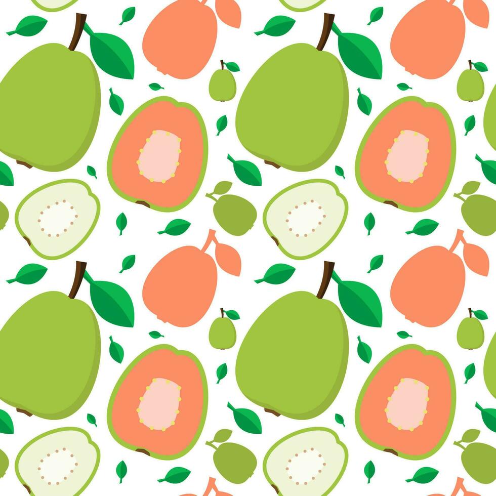 Guava fresh fruit seamless abstract pattern on white background vector