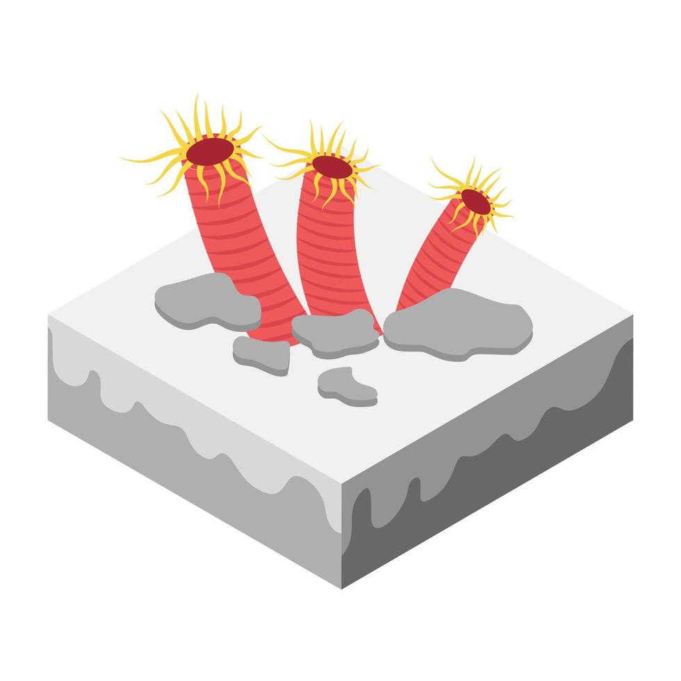 Coral Reef Concepts vector