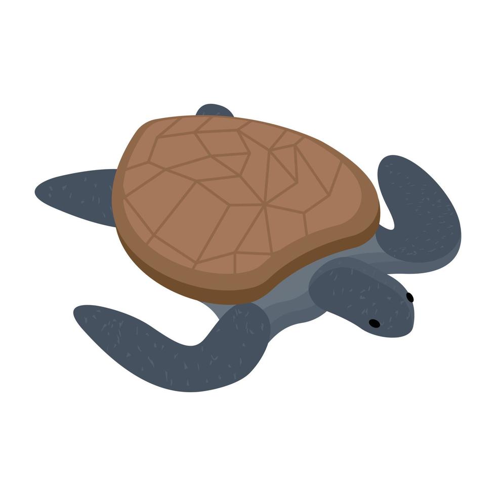 conceptos de tortugas marinas vector