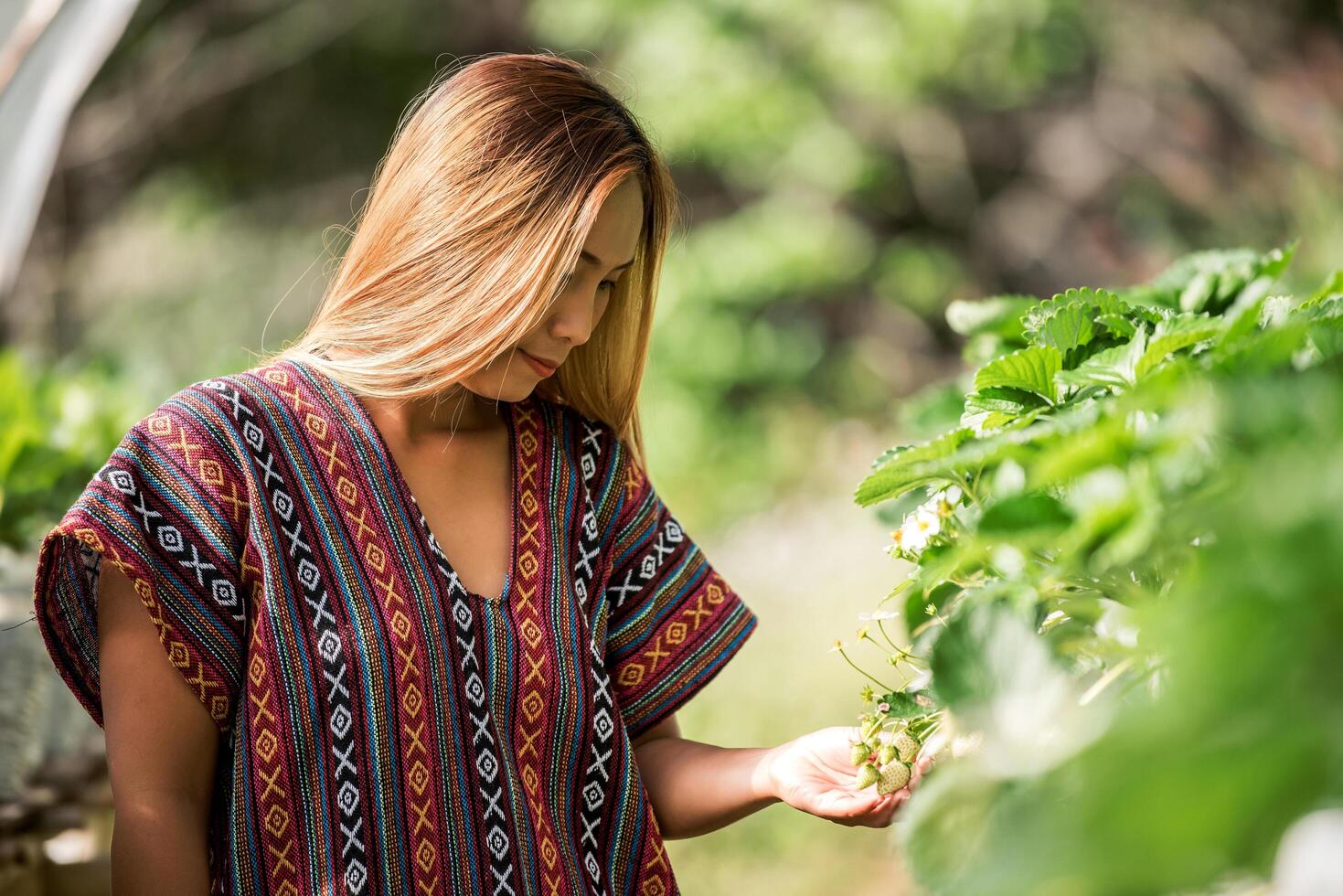 Hermosa mujer campesina comprobando la granja de fresas foto