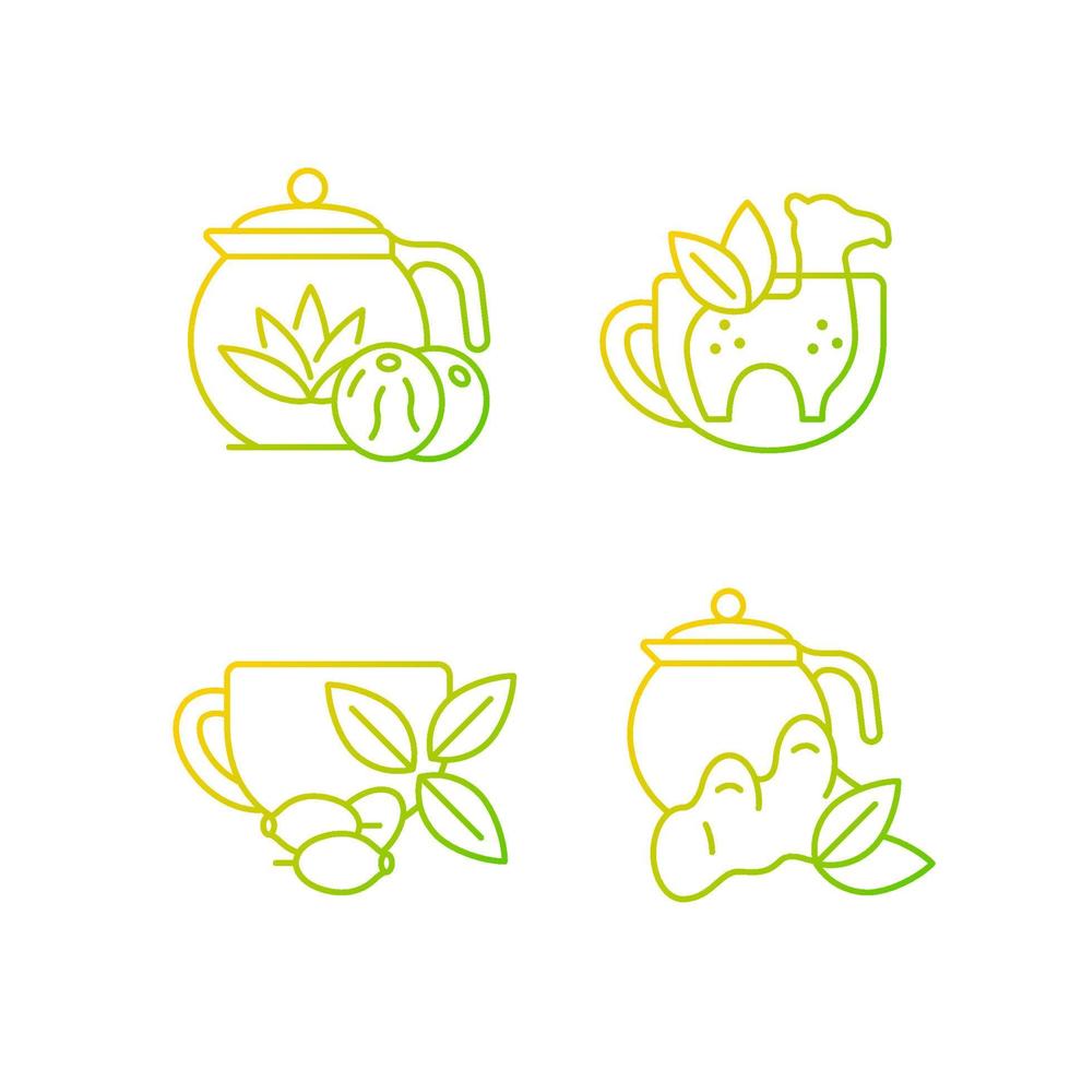 Conjunto de iconos de vector lineal gradiente de té medicinal.