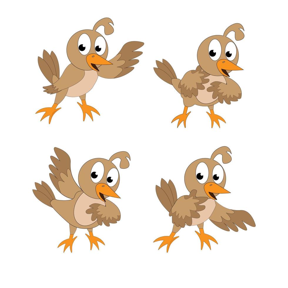 cute quail bird cartoon vector