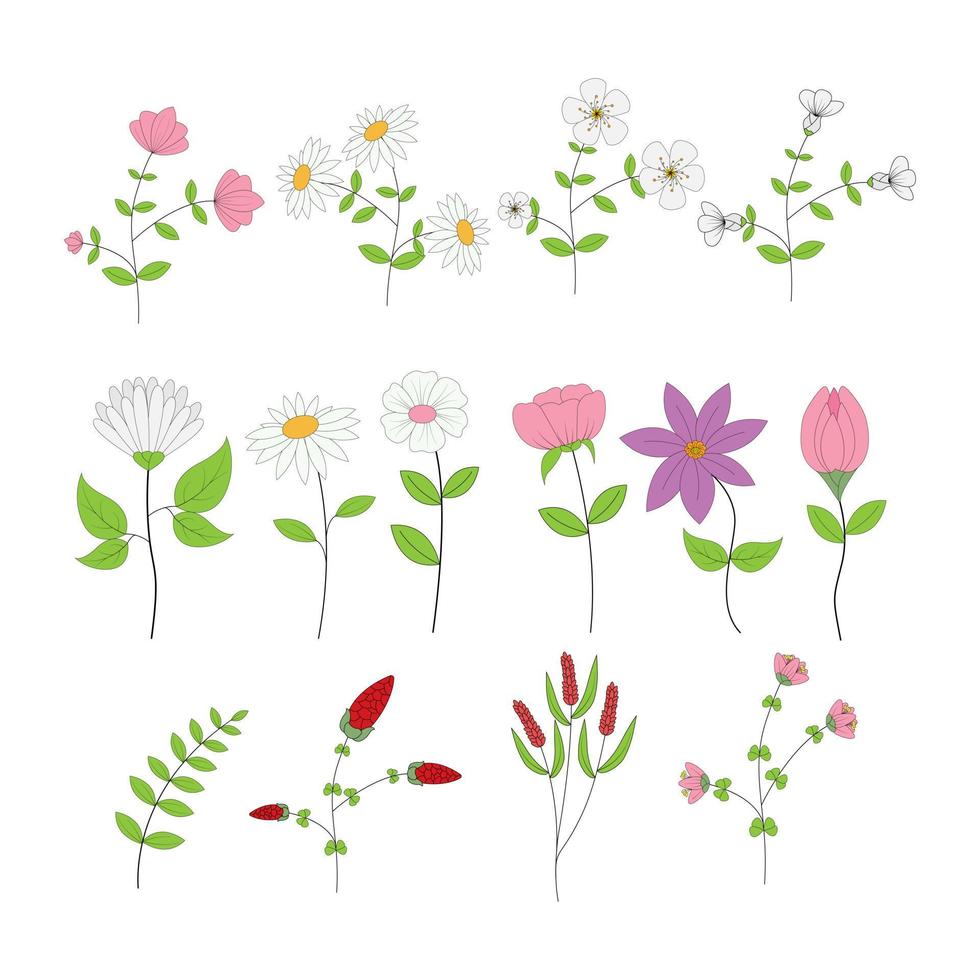 cute flower collection vector