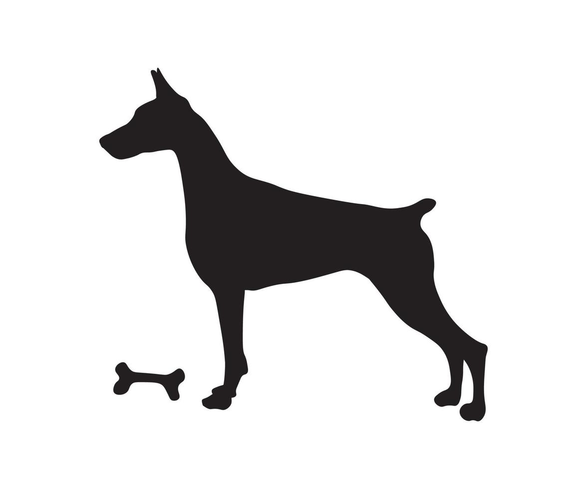 the silhouette of a doberman stands with a bone vector