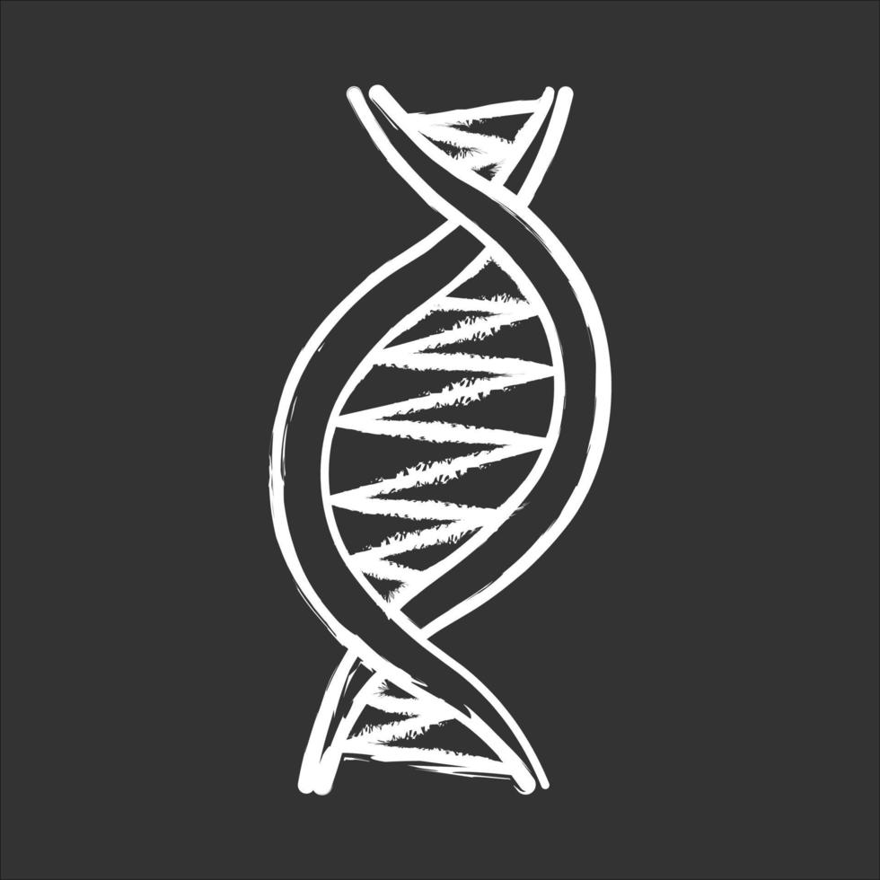 Left-handed DNA helix chalk icon vector