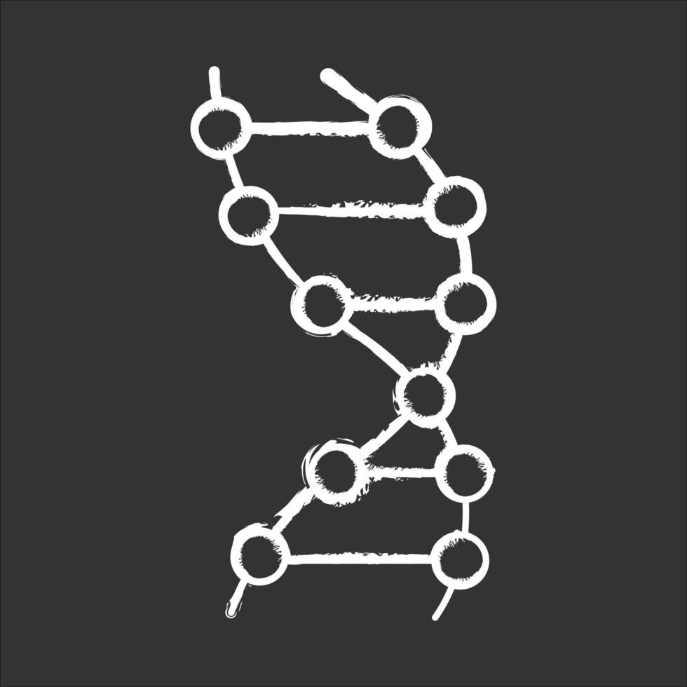 DNA helix chalk icon vector
