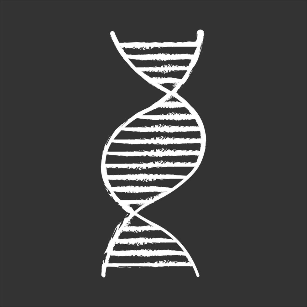 Right-handed DNA helix chalk icon vector