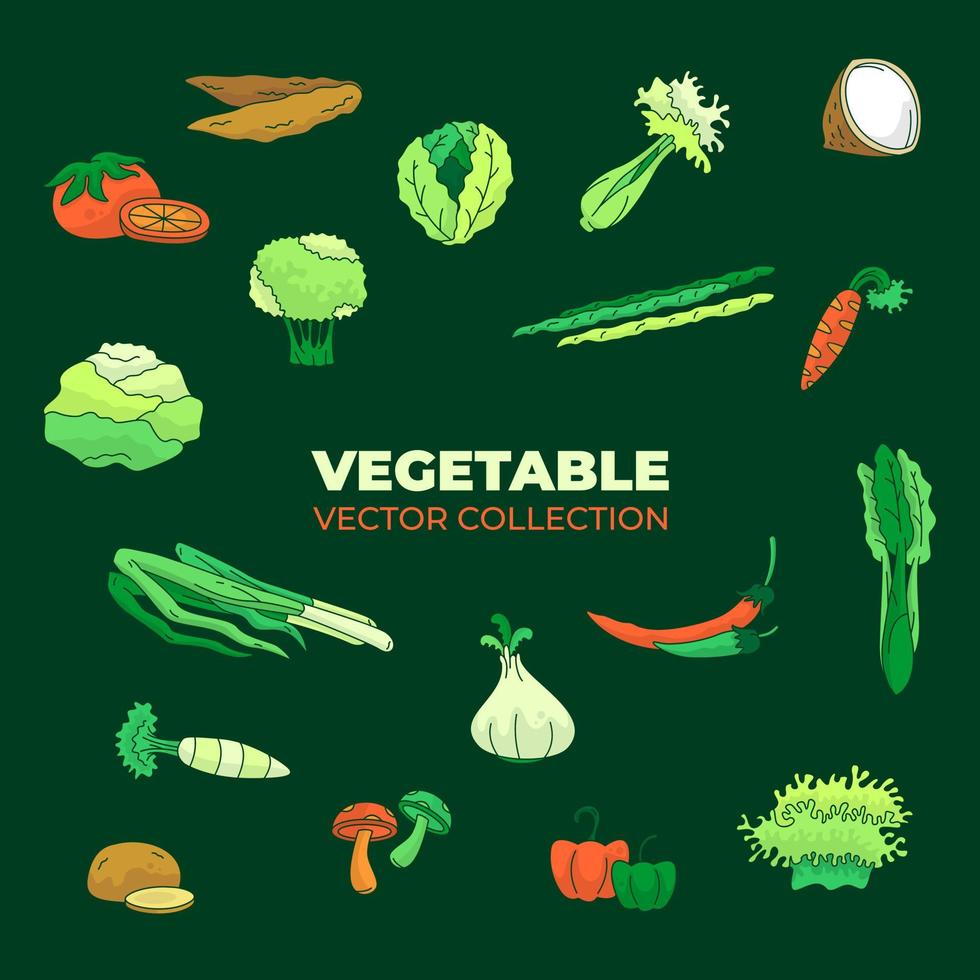 vector collection of assorted fresh and green vegetables