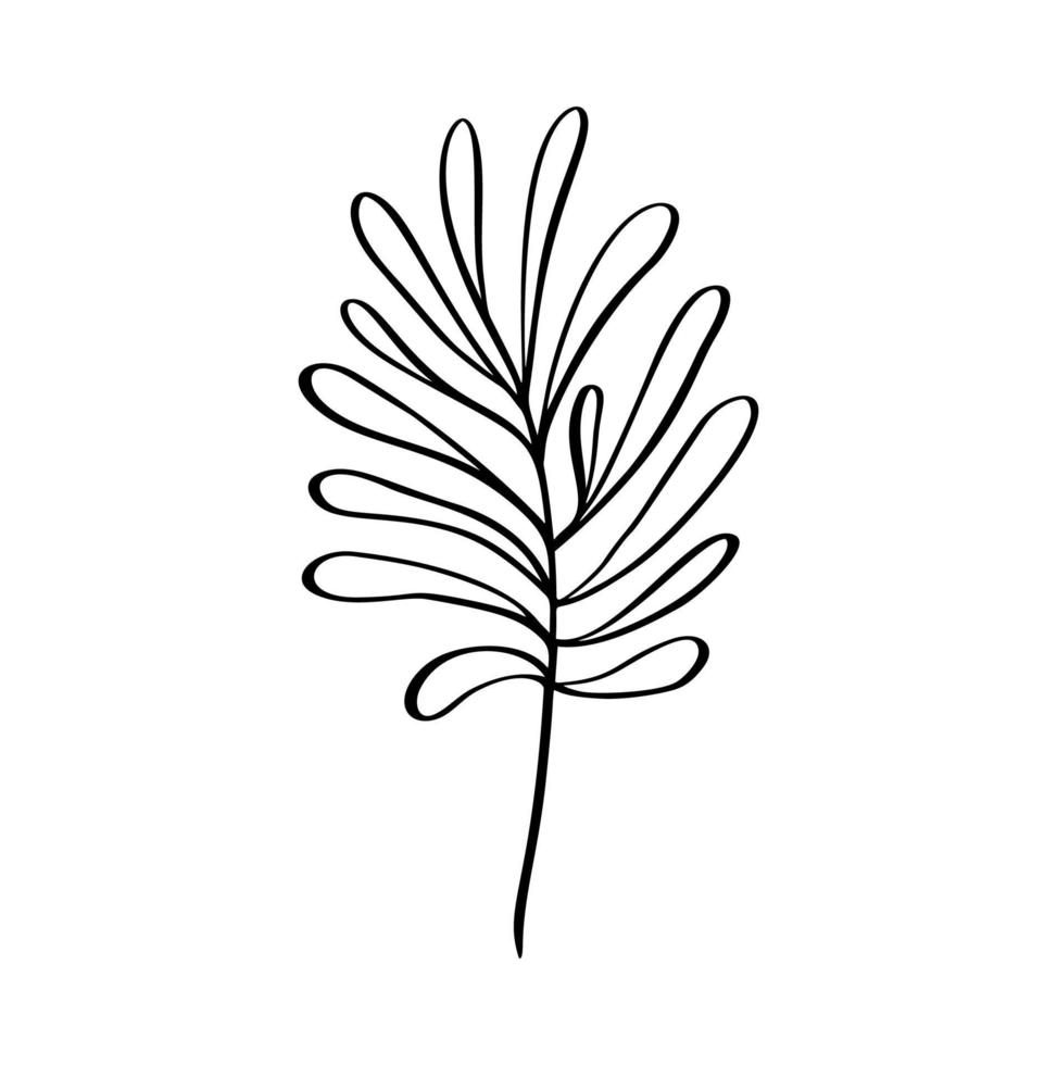 Modern grass leaf vector abstrac illustration. Black and white line art style. Isolated Exotic jungle contemporary trendy illustration. Perfect for posters, instagram posts, stickers