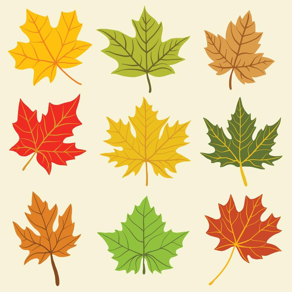 Collection of simplicity maple leaf freehand drawing flat design. vector