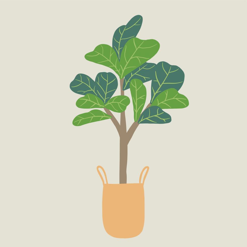 Doodle freehand sketch drawing of fiddle leaf fig tree. vector