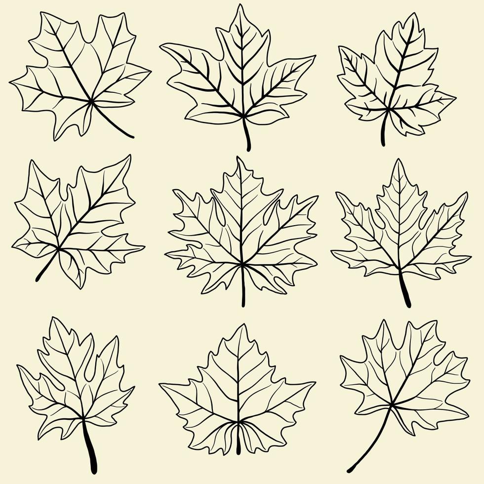 Collection of simplicity maple leaf freehand drawing flat design. vector