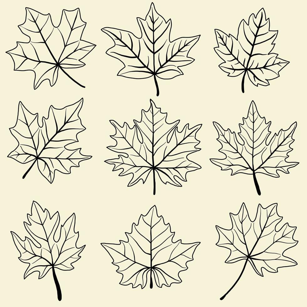 colección de diseño plano de dibujo a mano alzada de hoja de arce de simplicidad. vector