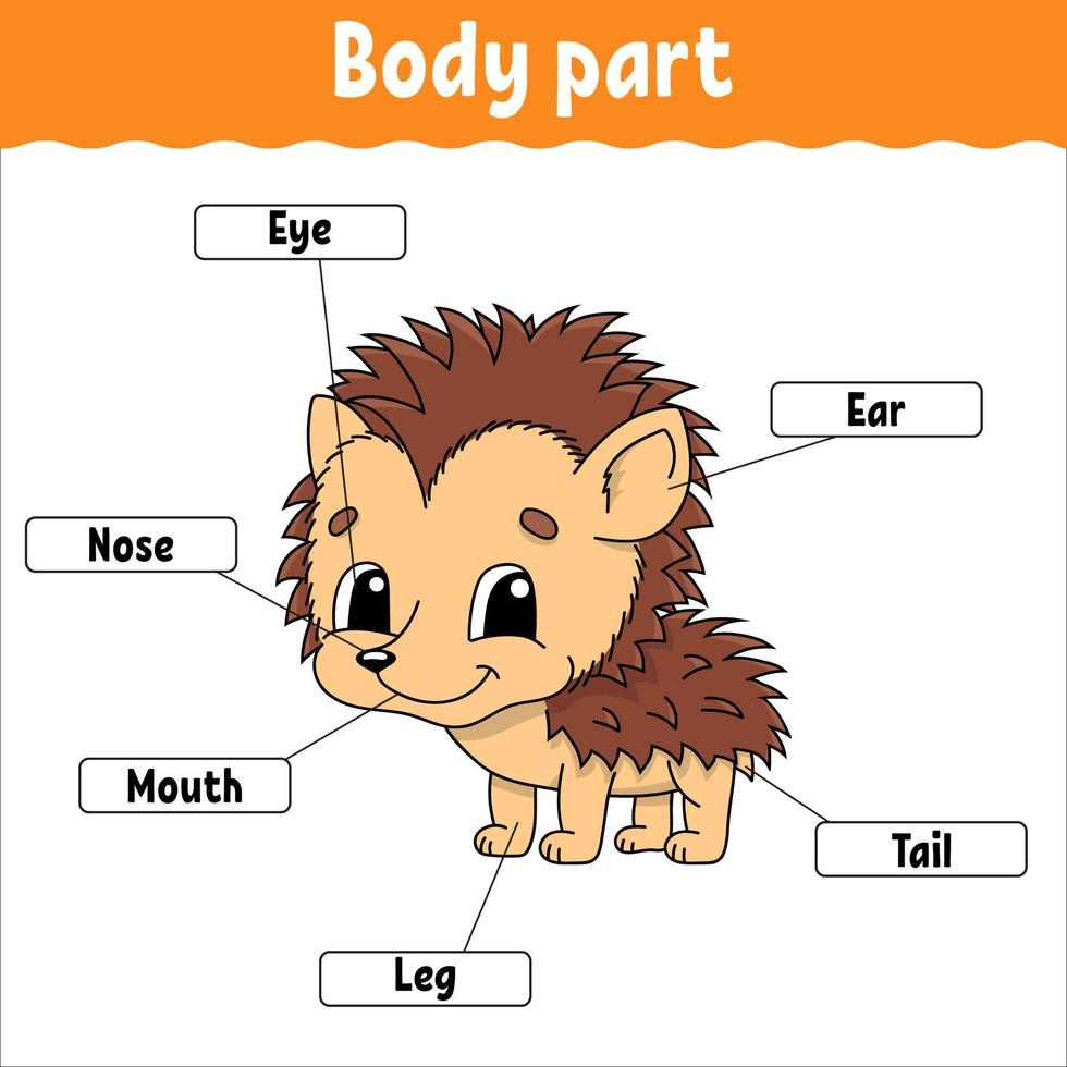 Body part. Learning words. Education developing worksheet. Activity page for study English. Game for children. Funny character. Isolated vector illustration. Cartoon style.