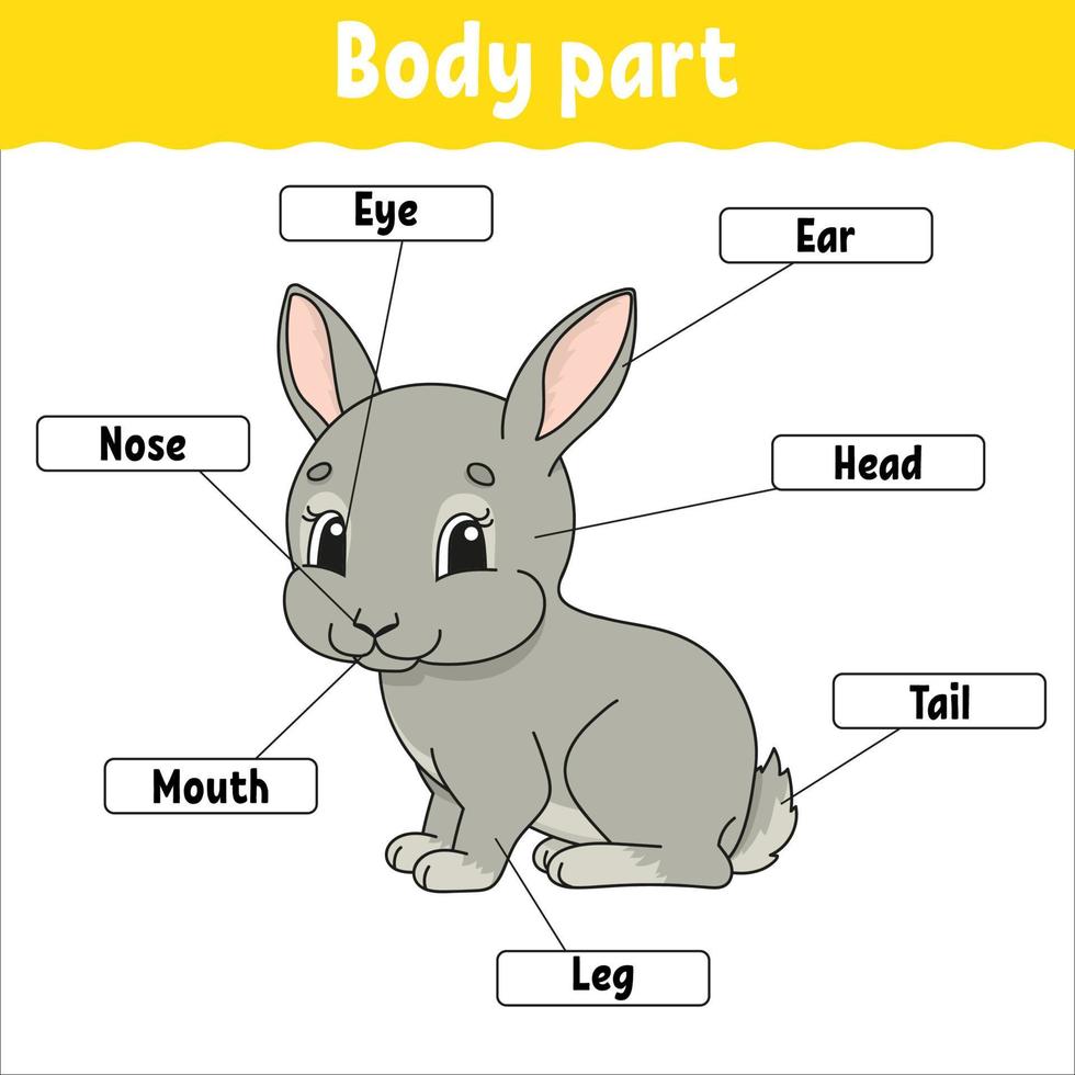 Body part. Learning words. Education developing worksheet. Activity page for study English. Game for children. Funny character. Isolated vector illustration. Cartoon style.