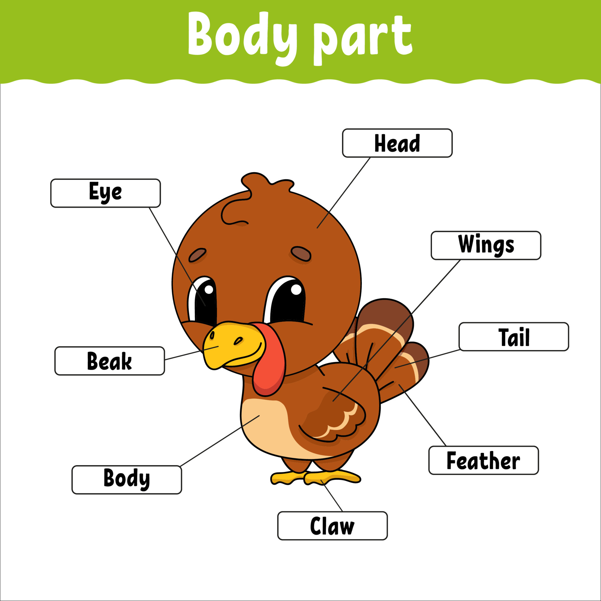 Body part. Learning words. Education developing worksheet. Activity page  for study English. Game for children. Funny character. Isolated vector  illustration. Cartoon style. 3487121 Vector Art at Vecteezy