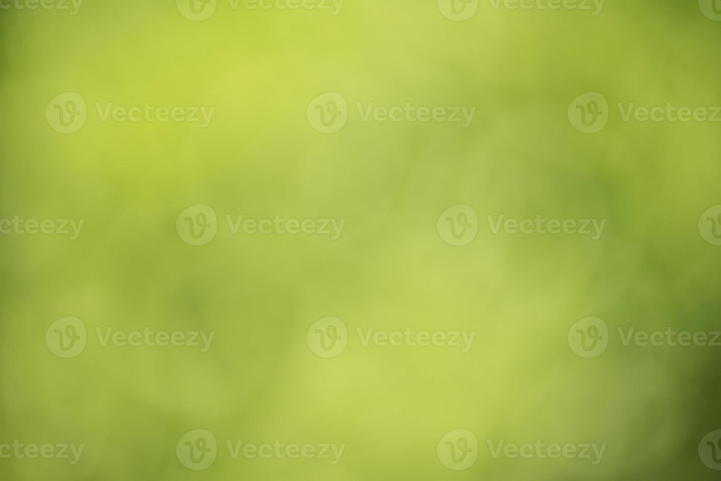 Defocus blurred green natural background composed of green foliage. Organic and natural concept. photo