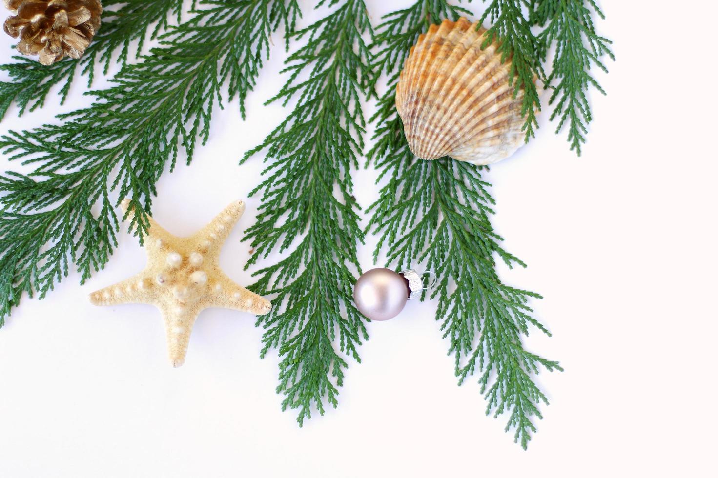 Tropical Christmas decoration, sea star and fur tree  New Year festive congratulation card with tropic details photo