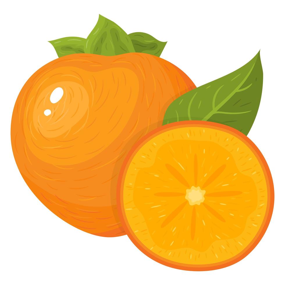 Fresh whole and half cut persimmon fruits isolated on white vector