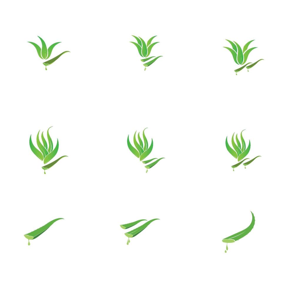 aloe vera logo illustration design template vector