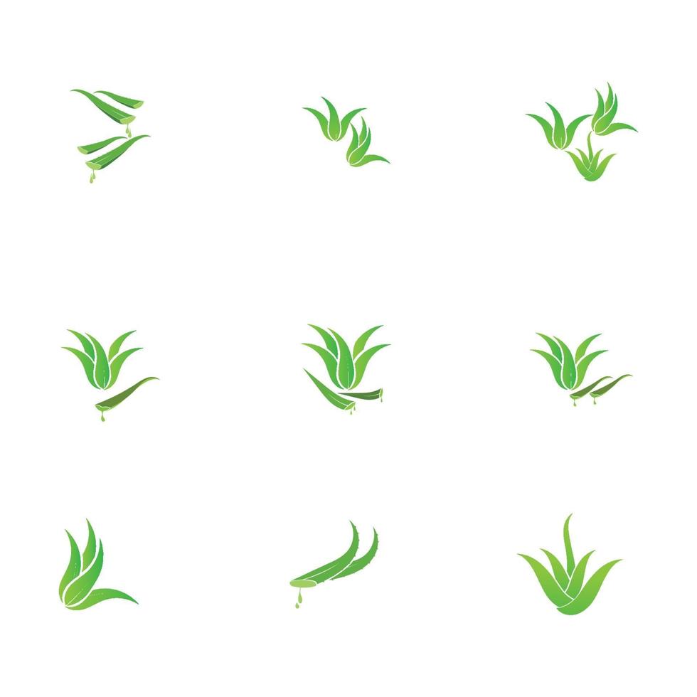 aloe vera logo illustration design template vector