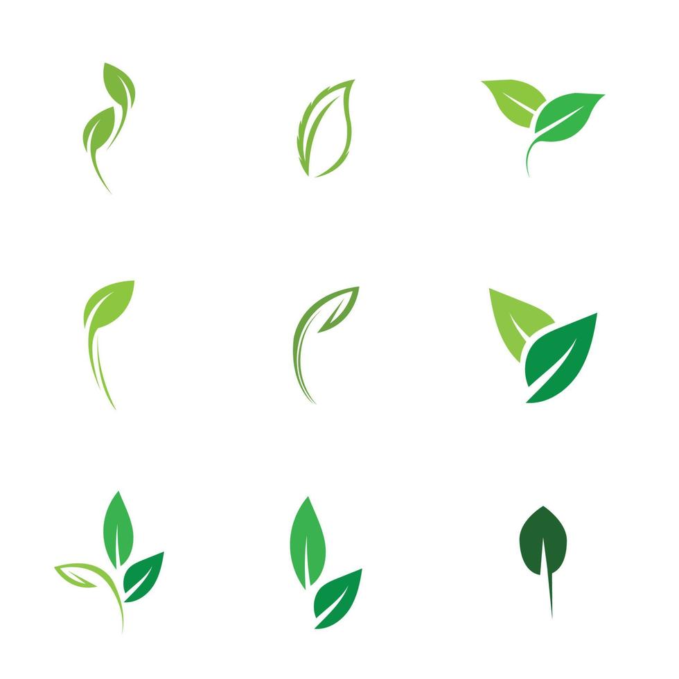 logos of green leaf ecology nature element vector