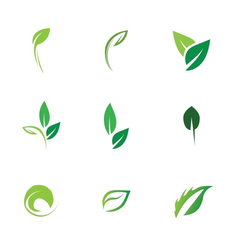 logotipos de vector de elemento de naturaleza ecología de hoja verde