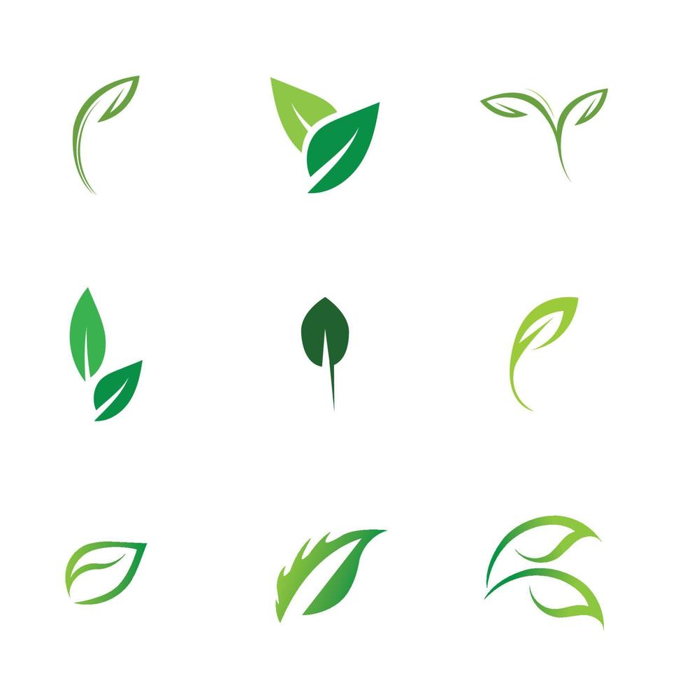 logos of green leaf ecology nature element vector