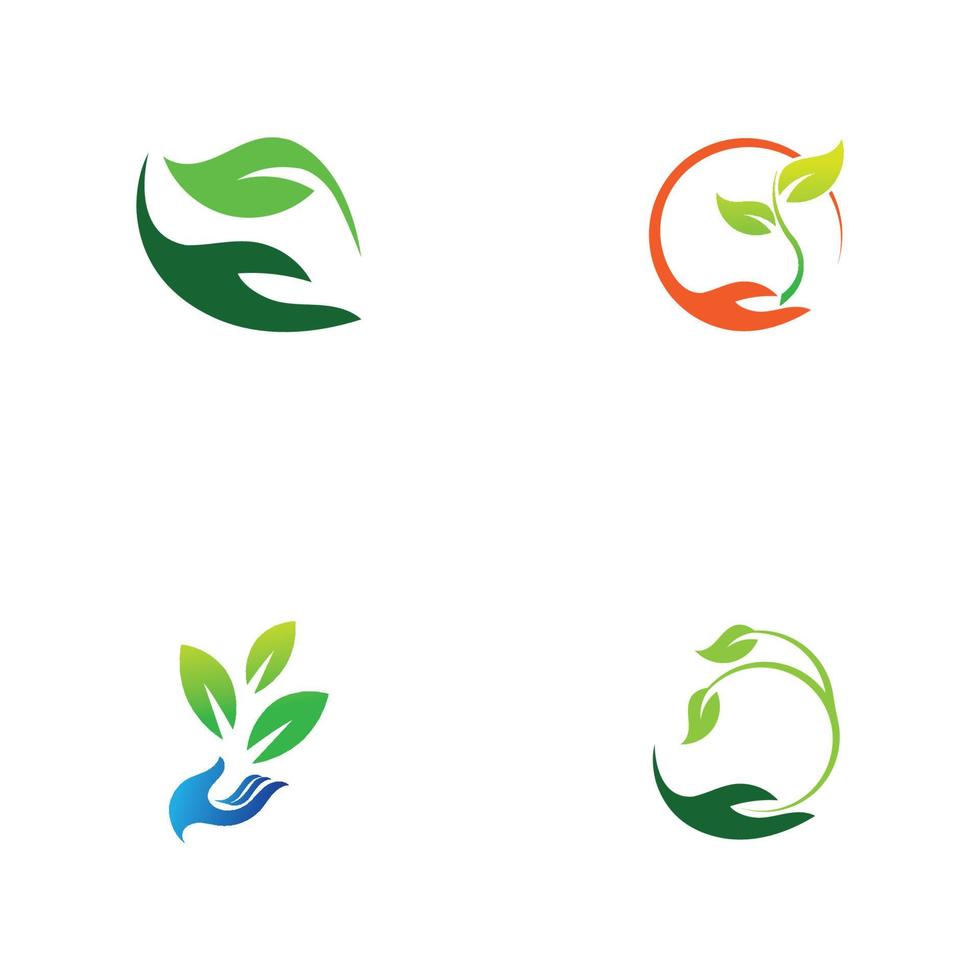 hand leaf logo vector