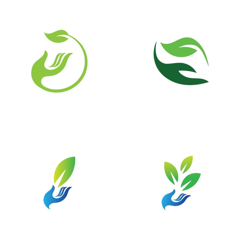 hand leaf logo vector