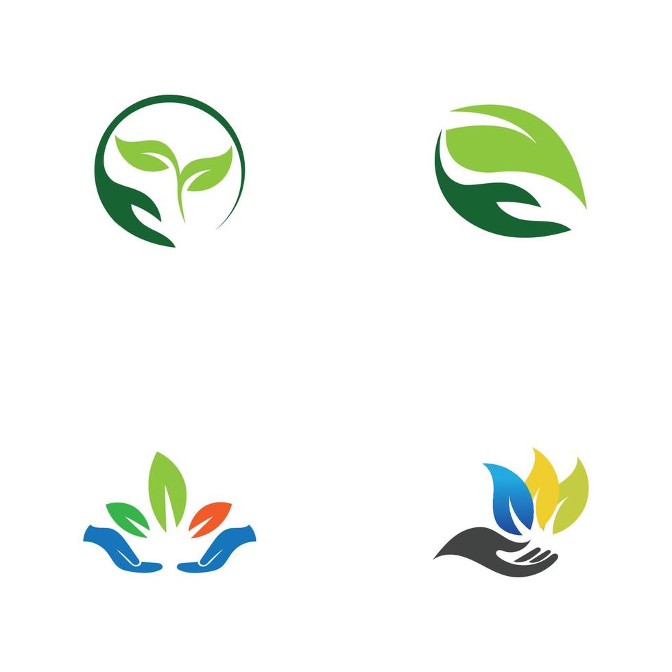 hand leaf logo vector