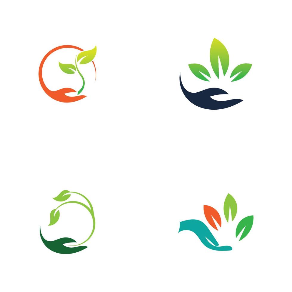 hand leaf logo vector