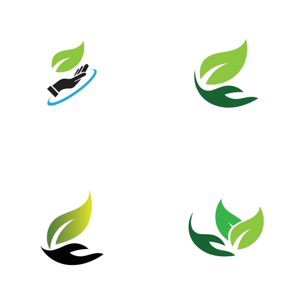 logo de hoja de mano vector